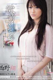 MIDD-678 พันธะสกปรกรักหมกแมนชั่น ซับไทยเอวี